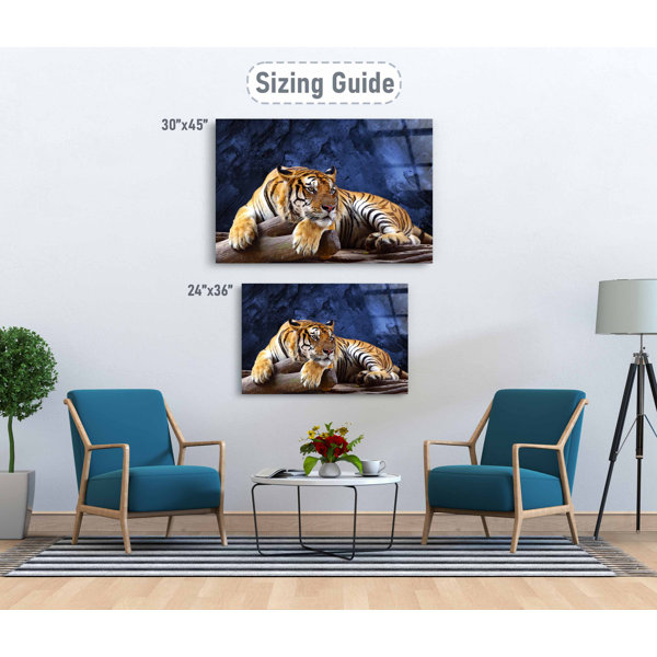 Ebern Designs Tiger Relaxing, Wildlife Photoshoot, Acrylic Plexiglass